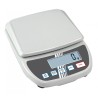 Precision Weight Scale