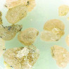 Gum Arabic