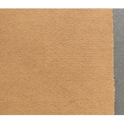 Papier Ingres Hahnemuhle 100 g/m2