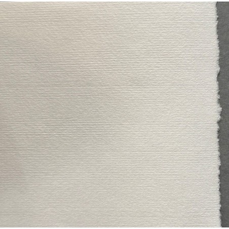 Papier Ingres Hahnemuhle 100 g/m2
