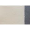 Papier Ingres Hahnemuhle 100 g/m2