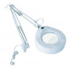 Circline 22W Light Magnifier