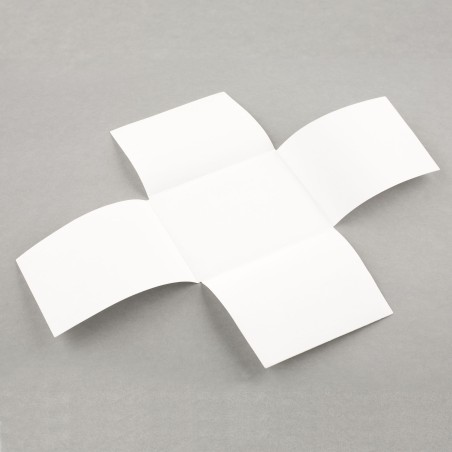 Etui quatre rabats pHoton Photosafe pour plaque en verre et film négatif