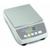 Precision Weight Scale