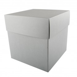 Boîte grand stockage et transport Premier Duo™