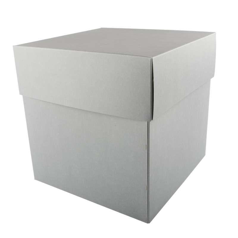 Boîte grand stockage et transport Premier Duo™